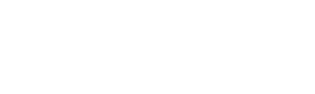 Aster National Insurance Group